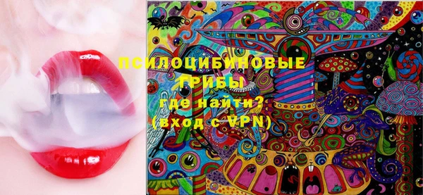 2c-b Мегион